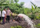 Kapolsek-Sedati-Dukung-Swasembada-Pangan,-Warga-Semampir-Olah-Lahan-Tambak-untuk-Ketahanan-Pangan