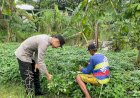 Semangat-Warga-Desa-Janti-Dukung-Ketahanan-Pangan,-Manfaatkan-Pekarangan-Kosong-untuk-Tanam-Kangkung