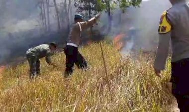 Polisi-Bersama-Petugas-Gabungan-Berhasil-Padamkan-Kebakaran-Hutan-Gunung-Pucang-Ranggah-di-Lumajang