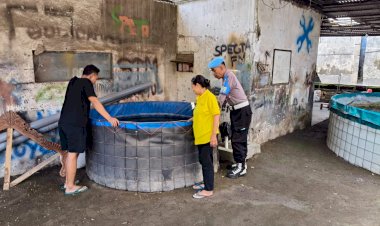 Bhabinkamtibmas-Desa-Kesambi-Cek-Perkembangan-Budidaya-Ikan-Nila-dan-Gurami