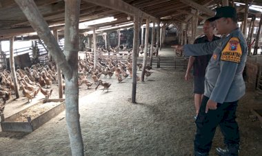 Bhabinkamtibmas-Desa-Kragan-Bersama-Perangkat-Desa-Cek-Program-Ketahanan-Pangan-Peternakan-Bebek-Petelur