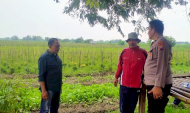 Kapolsek-Prambon-Silaturahmi-dengan-Warga-Desa-Jatikalang-Terkait-Pengelolaan-Pekarangan-Bergizi