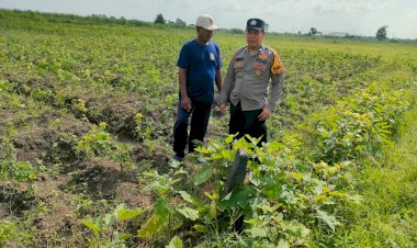 Bhabinkamtibmas-Desa-Cangkring-Tinjau-Perkembangan-Tanaman-Cabai-Demi-Ketahanan-Pangan