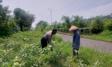 Bhabinkamtibmas-Dampingi-Warga-Wujudkan-Swasembada-Pangan,-Dukung-Implementasi-Program-Pusat