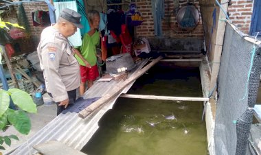 Polsek-Tulangan-Tinjau-Budidaya-Lele-Dukung-Ketahanan-Pangan