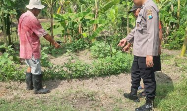Warga-Kedungturi-Taman-Manfaatkan-Lahan-Kosong-untuk-Sukseskan-Program-Ketahanan-Pangan