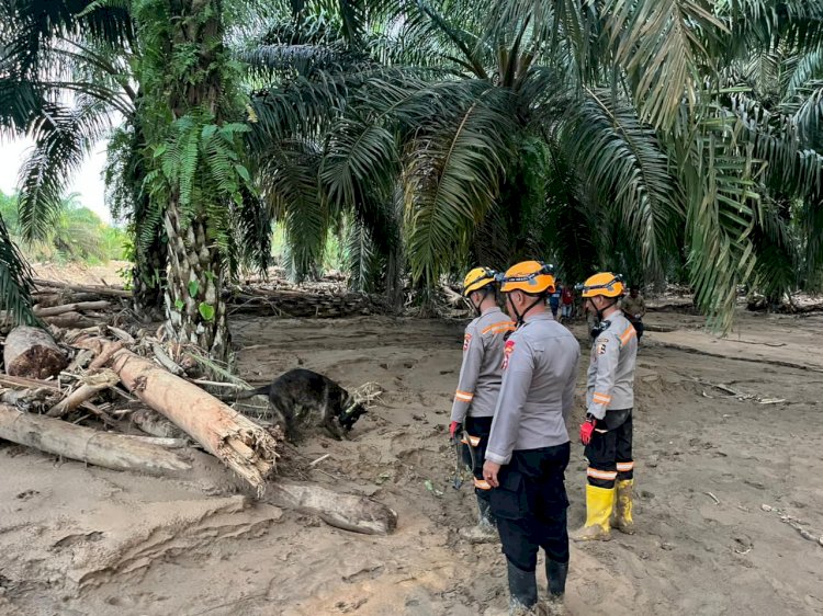 Den K9 Ditpolsatwa Baharkam Polri Berhasil Temukan Satu Korban Bencana Alam di Batang Toru, Sumatera Utara