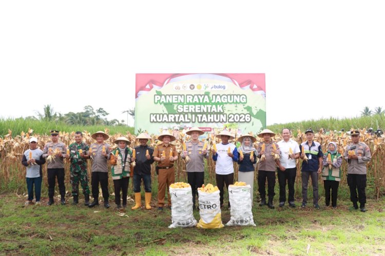 Polres Malang Panen Raya Jagung, Hasil 8 Ton untuk Dukung Stok Pangan